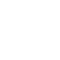St Peter's Lutheran School Logo